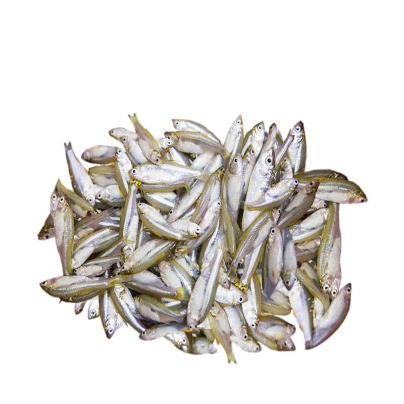 Mola Fish Deshi
